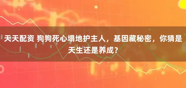 天天配资 狗狗死心塌地护主人，基因藏秘密，你猜是天生还是养成？